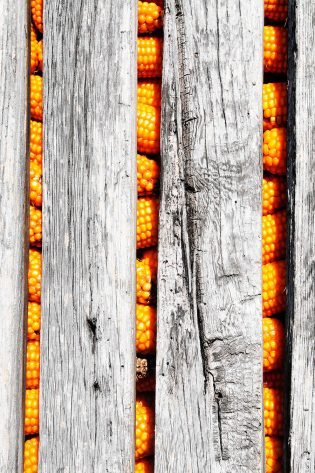 Espigueiro, pormenor - Baião