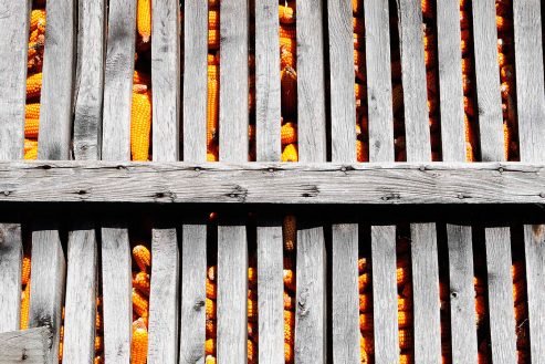 Espigueiro, pormenor - Baião