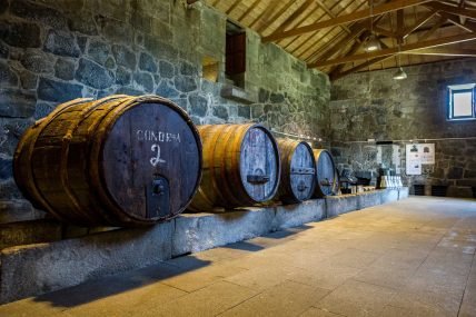 Mosteiro de Santo André de Ancede - Baião